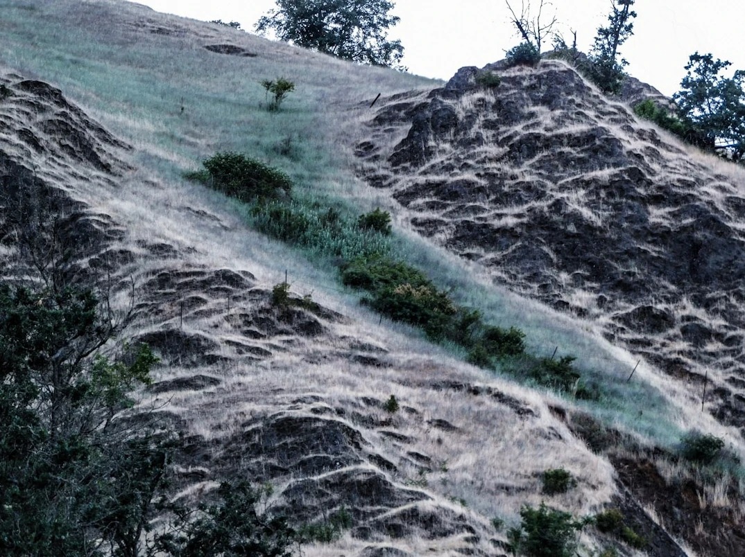 Erosion Control Hydroseeding in Huntsville, AL